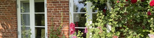 Fenster und Rosen