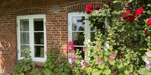 Fenster und Rosen